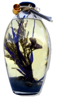 Klik for at vende tilbage